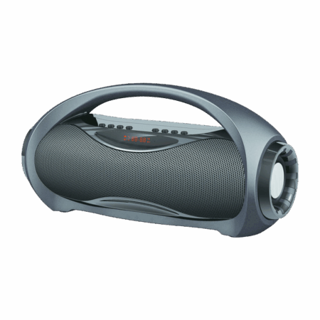 Fusce ullamcorper dapibus